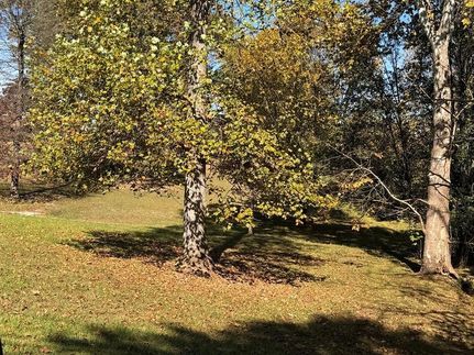 Undeveloped Land for sale in Putnam County, Tennessee
