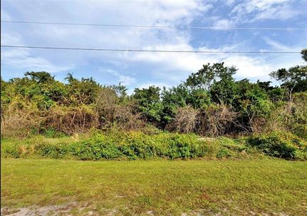 Farm Property for sale in Saint Lucie County, Florida