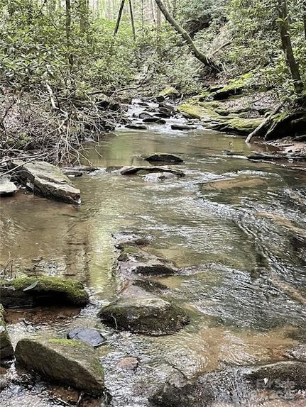 Recreational Property for sale in Polk County, North Carolina