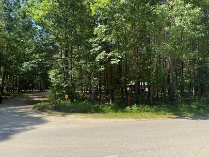 Timberland Property in Mecosta County, Michigan