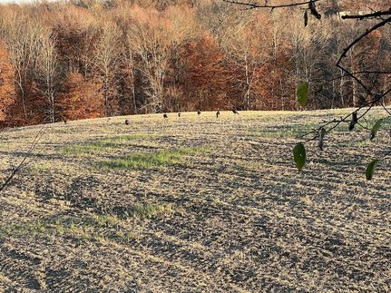 Undeveloped Land for sale in Perry County, Ohio