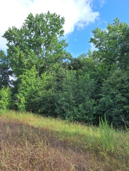 Undeveloped Land for sale in Abbeville County, South Carolina