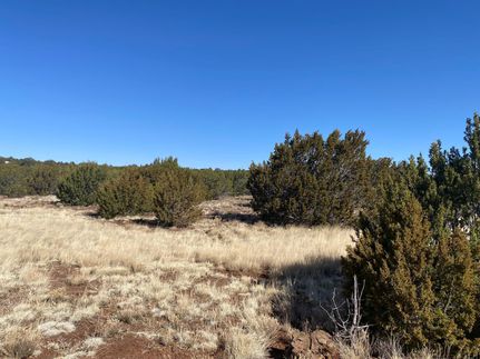 Farm Property for sale in Apache County, Arizona