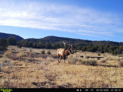Recreational Property for sale in Catron County, New Mexico