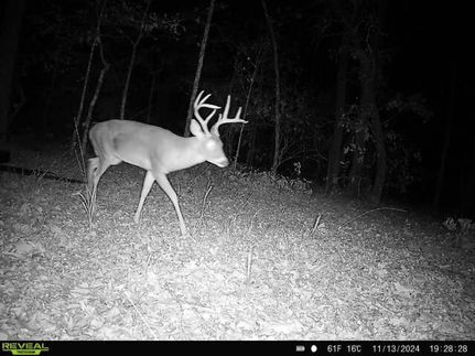 Recreational Property for sale in Red River County, Texas