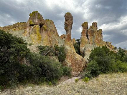 Farm Property for sale in Grant County, New Mexico