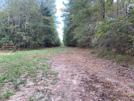 Farm Property for sale in Simpson County, Mississippi