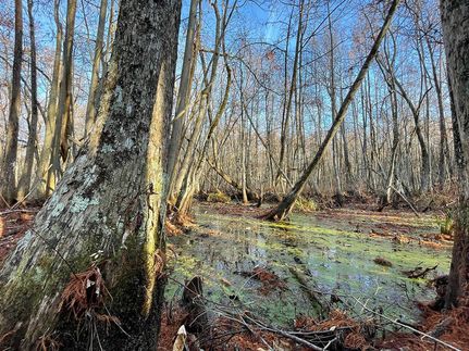 Farm Property for sale in Holmes County, Mississippi