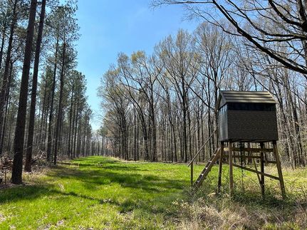 Timberland Property for sale in Calhoun County, Mississippi