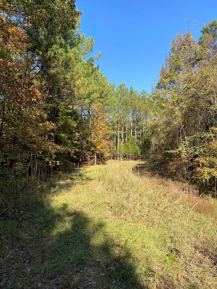 Timberland Property for sale in Lafayette County, Mississippi