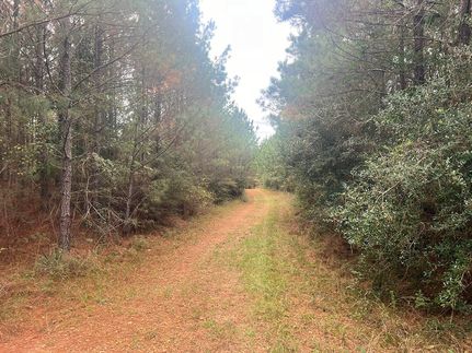 Recreational Property for sale in Amite County, Mississippi