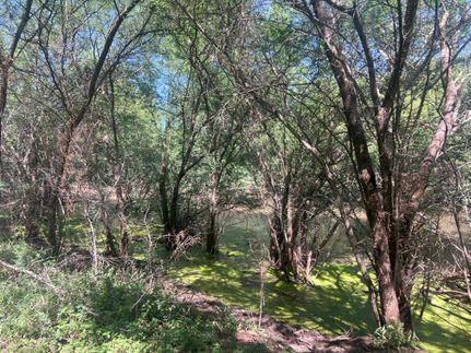 Residential Property for sale in Duval County, Texas