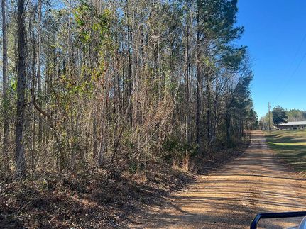 Undeveloped Land for sale in Wilkinson County, Mississippi