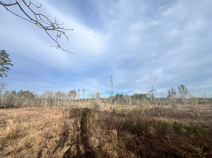 Ranch Property for sale in Wayne County, Mississippi