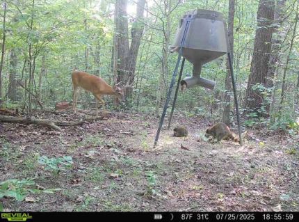 Ranch Property for sale in Scioto County, Ohio