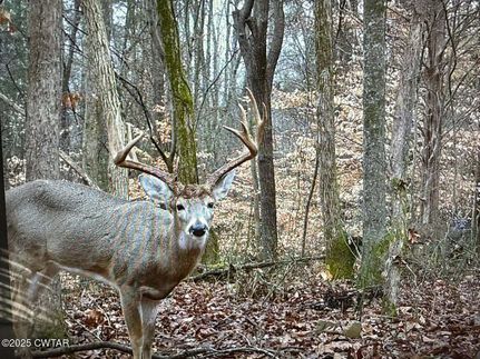 Farm Property for sale in Madison County, Tennessee