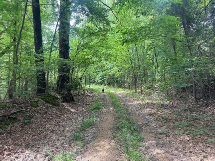 Farm Property for sale in Yazoo County, Mississippi