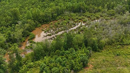Recreational Property for sale in Lamar County, Georgia