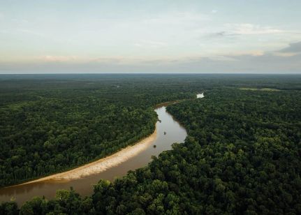 Farm Property for sale in Greene County, Mississippi