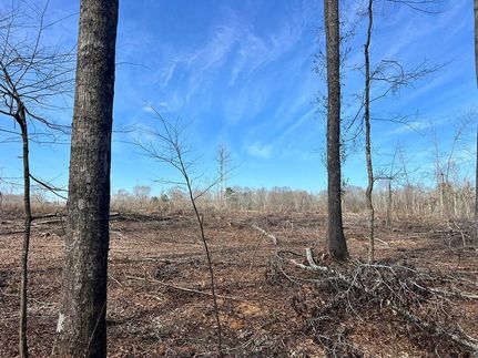 Recreational Property for sale in Scott County, Mississippi