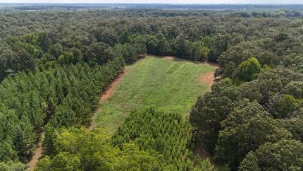 Timberland Property for sale in Sumter County, Georgia