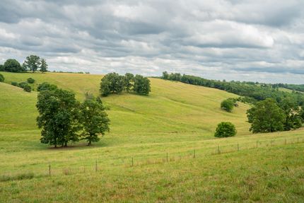 Farm Property for sale in Douglas County, Missouri