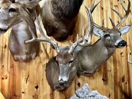 Ranch Property for sale in Saline County, Illinois