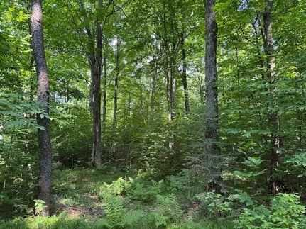 Ranch Property for sale in Langlade County, Wisconsin
