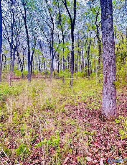 Farm Property for sale in Morgan County, Alabama