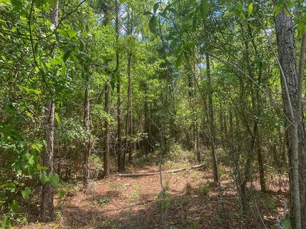 Ranch Property for sale in Gilchrist County, Florida