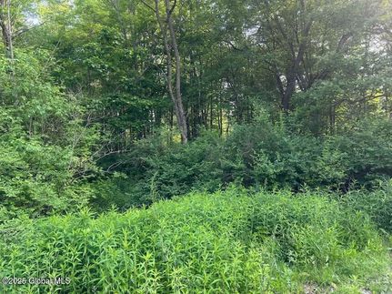 Residential Property for sale in Saratoga County, New York
