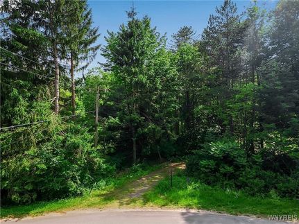 Timberland Property for sale in Erie County, New York