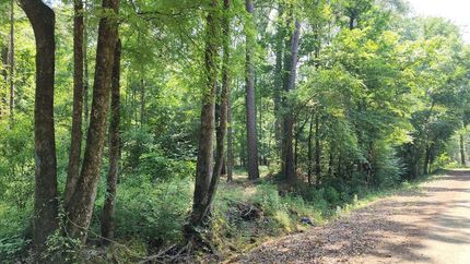 Property for sale in Shelby County, Texas