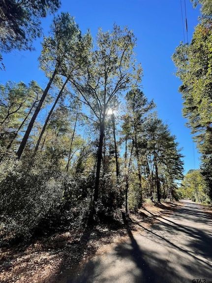 Ranch Property for sale in Wood County, Texas