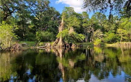 Farm Property for sale in Gilchrist County, Florida