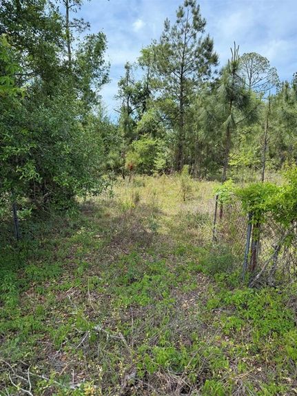 Residential Property for sale in Taylor County, Florida