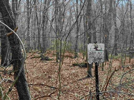 Farm Property for sale in Montgomery County, Virginia