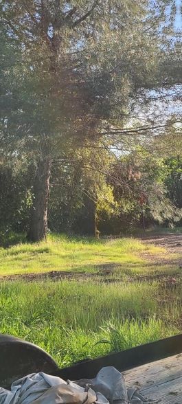 Farm Property for sale in Mariposa County, California