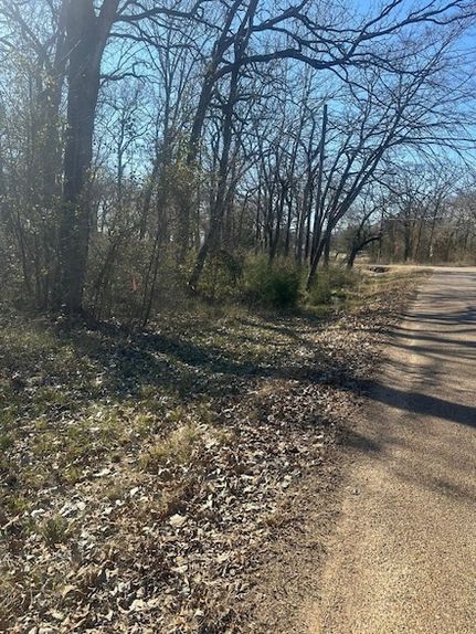 Undeveloped Land for sale in Henderson County, Texas