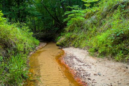 Recreational Property for sale in Gregg County, Texas