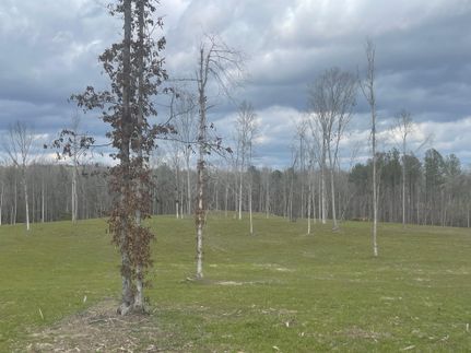 Property for sale in Bibb County, Alabama