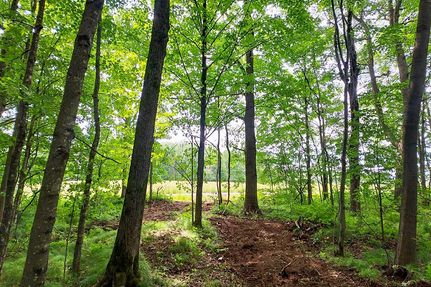 Ranch Property in Price County, Wisconsin