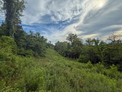 Ranch Property for sale in Belmont County, Ohio