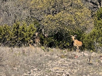 Farm Property for sale in Edwards County, Texas