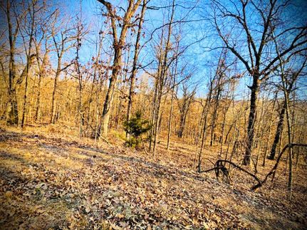 Ranch Property for sale in Benton County, Missouri