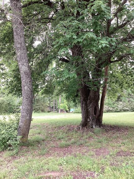 Residential Property for sale in Polk County, Arkansas