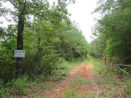 Property for sale in Dallas County, Alabama