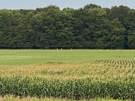 Ranch Property for sale in Indiana County, Pennsylvania