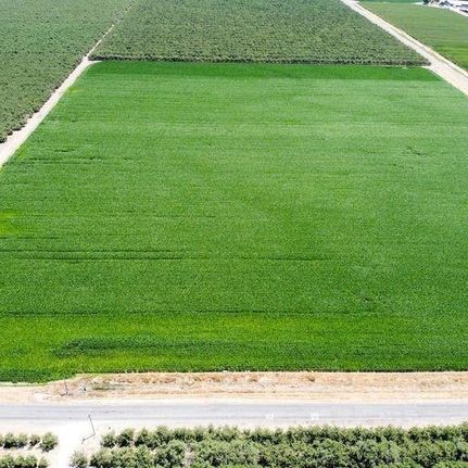 Farm Property for sale in Madera County, California
