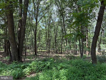 Farm Property for sale in Hampshire County, West Virginia